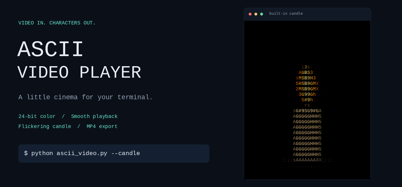 ASCII Video Player preview